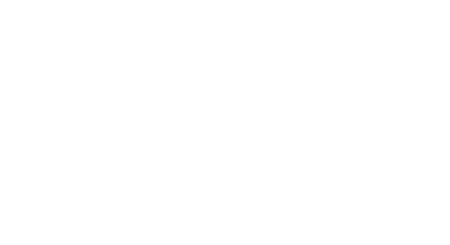 Slim-IA